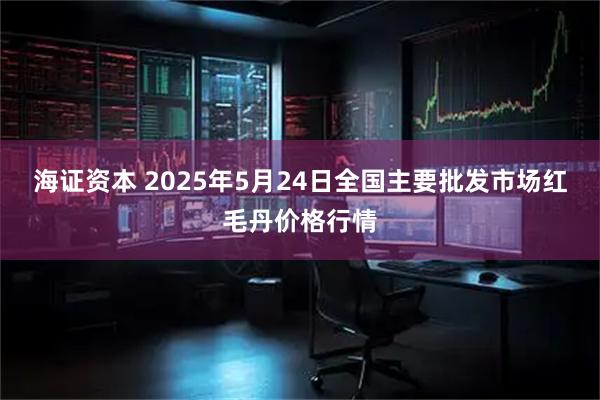 海证资本 2025年5月24日全国主要批发市场红毛丹价格行情