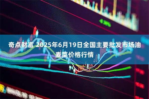 奇点财富 2025年6月19日全国主要批发市场油麦菜价格行情