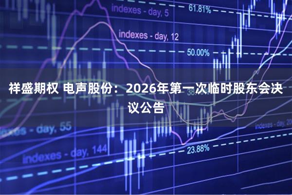 祥盛期权 电声股份：2026年第一次临时股东会决议公告